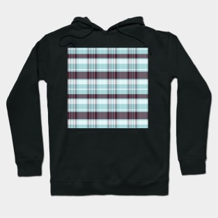 Winter Aesthetic Calan 1 Hand Drawn Textured Plaid Pattern Hoodie